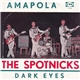 The Spotnicks - Amapola / Dark Eyes