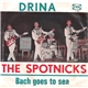 The Spotnicks - Drina